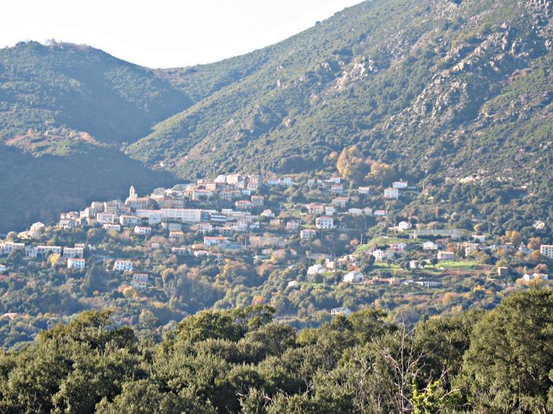 Villa Angelini Valle-di-Campoloro Экстерьер фото